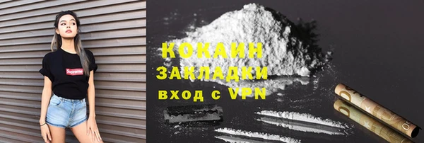 индика Белокуриха