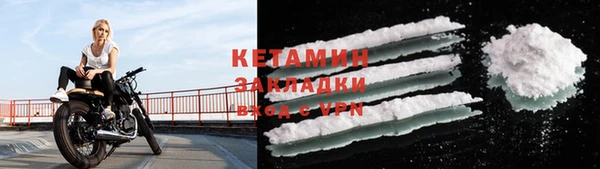 индика Белокуриха