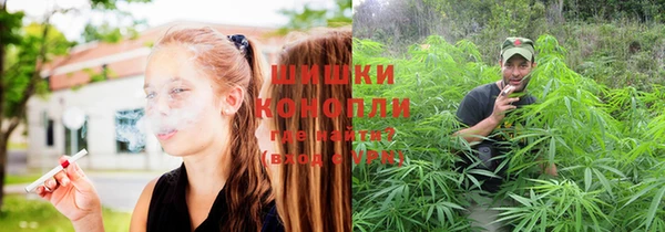 индика Белокуриха