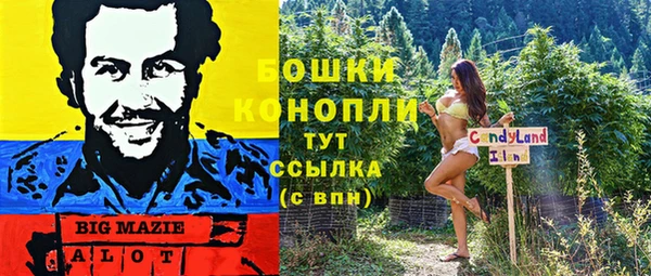 индика Белокуриха