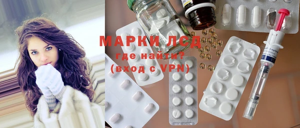 индика Белокуриха