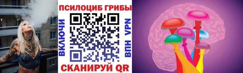 Галлюциногенные грибы Psilocybe  купить наркоту  Дятьково 